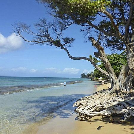 Polynesian Shores 118 卡哈纳 外观 照片
