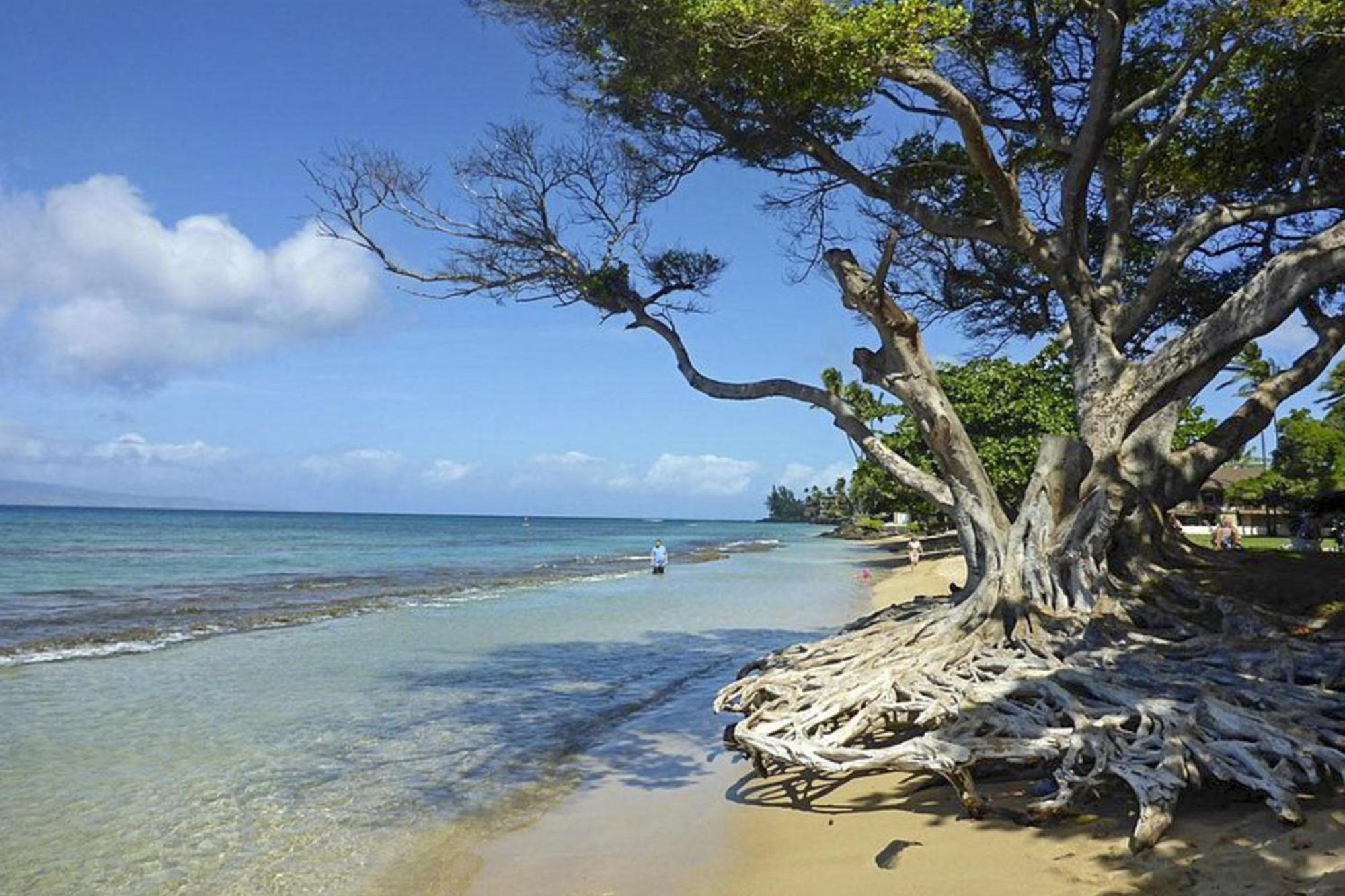 Polynesian Shores 118 卡哈纳 外观 照片